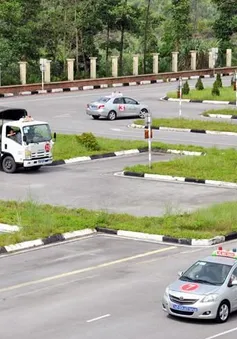 TP Hồ Chí Minh: Đề xuất thí điểm đào tạo lý thuyết lái xe ô tô trên nền tảng số