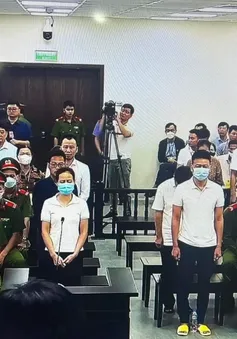 Mở phiên tòa xét xử ông Nguyễn Đức Chung trong vụ nâng giá cây xanh
