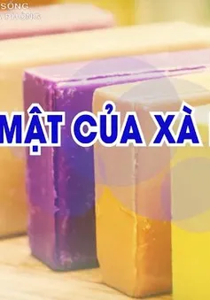 "Giải mã cuộc sống": Xà phòng và những bí mật xung quanh