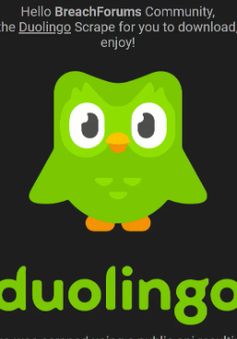 Dữ liệu 2,6 triệu người dùng Duolingo bị phát tán công khai