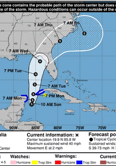 Bão nhiệt đới Idalia dự kiến sẽ mạnh lên và tấn công bang Florida