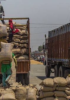 Ấn Độ áp đặt thêm hạn chế với xuất khẩu gạo
