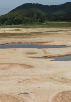 Hà Tĩnh: Nắng nóng kéo dài, các hồ đập thủy lợi cạn nước