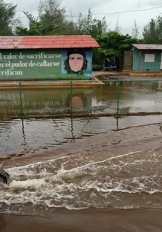 Bão Idalia gây ngập úng tại Cuba