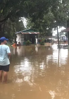 Chủ động ứng phó với lũ khẩn cấp trên các sông ở khu vực tỉnh Đồng Nai