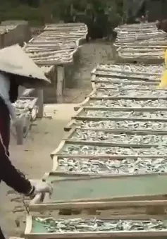 Giữ nghề truyền thống vùng biển