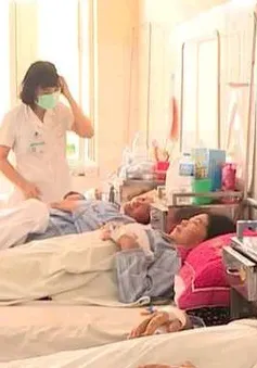 Gần 500 ca sốt xuất huyết mỗi tuần ở Hà Nội