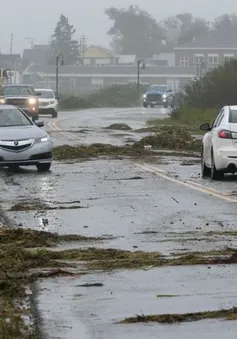 Bão Lee đổ bộ vào Nova Scotia, làm đổ cây và gây mất điện