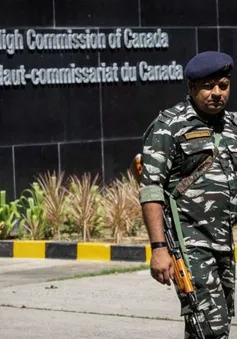 Ấn Độ dừng cấp thị thực mới cho công dân Canada