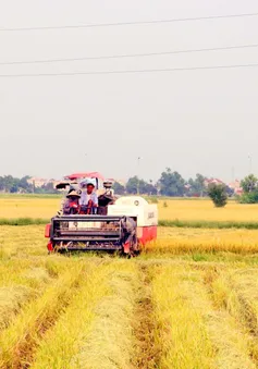 Xuất hiện tình trạng bảo kê máy gặt kiểu mới