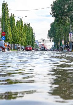 Nhiều tuyến đường ở Cần Thơ bị ngập do triều cường