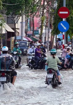 Cảnh báo triều cường dâng cao tại Nam Bộ