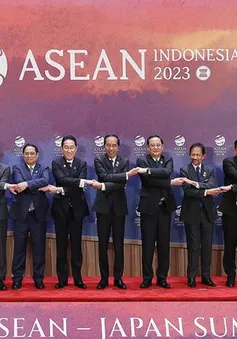 ASEAN-Nhật Bản thiết lập quan hệ Đối tác Chiến lược toàn diện