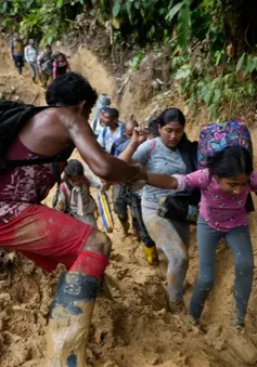 Panama tăng cường trục xuất, nỗ lực ngăn chặn việc vượt biên qua Darien Gap