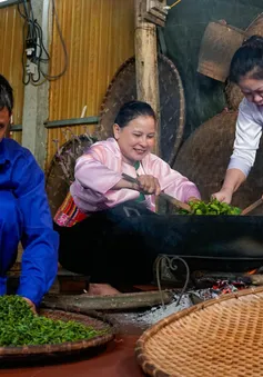 Cận cảnh quy trình sản xuất "thủ công" chè xanh Đinh Bát Tiên đặc sản Long Cốc (Phú Thọ)