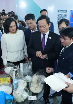 Sản phẩm hóa chất, hóa dầu của DN Việt gia Hội nghị Thượng đỉnh toàn cầu
