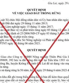 Vụ giả mạo Quyết định Chủ tịch tỉnh Gia Lai: Người làm giả là em của một Giám đốc