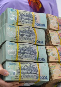 Thủ tướng sẽ quyết các khoản cho vay đặc biệt với lãi suất 0%