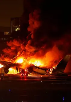 379 hành khách an toàn trong vụ máy bay cháy ở Nhật Bản: Thành công nhờ sự bình tĩnh của tất cả mọi người