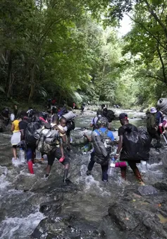 Hơn 500.000 người di cư vượt qua rừng rậm "tử thần" Darien Gap tới Mỹ năm 2023