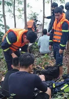 Tìm người đàn ông mất tích khi đi nhặt củi