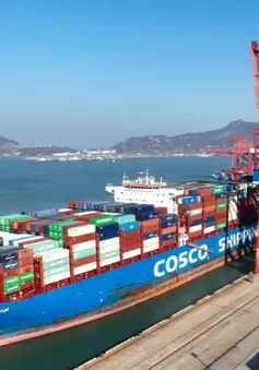 Tập đoàn vận tải biển COSCO tạm dừng cập cảng Israel