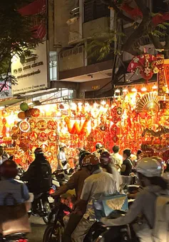 TP Hồ Chí Minh: Phố cổ Hải Thượng Lãn Ông rực rỡ sắc đỏ đón Tết