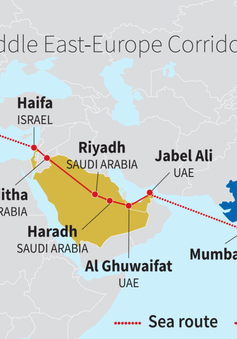 Phát triển hành lang kinh tế Ấn Độ - Trung Đông