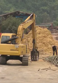 Thanh Hóa: Nhiều cơ sở chế biến lâm sản chưa đảm bảo an toàn cháy nổ