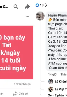 Cảnh giác 5 thủ đoạn lừa đảo qua mạng nở rộ dịp đầu năm