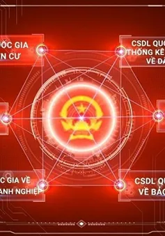 Phê duyệt Chiến lược dữ liệu quốc gia đến năm 2030