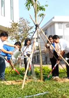 Phú Yên: Phát động Tết trồng cây