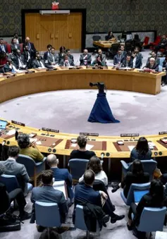 Liên hợp quốc bỏ phiếu về lệnh ngừng bắn ở Gaza