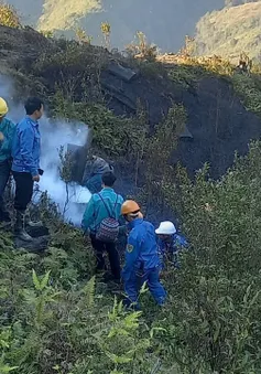 Đám cháy mới xuất hiện ở Sa Pa, hơn 600 người tham gia chữa cháy