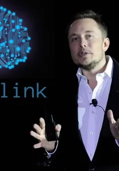 Bệnh nhân cấy chip não Neuralink đã có thể điều khiển chuột máy tính bằng ý nghĩ