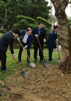 Chủ tịch Quốc hội Vương Đình Huệ dự Lễ khởi động Tháng Thanh niên và Tết trồng cây 2024