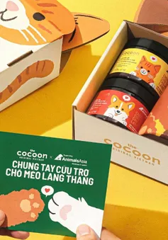 Cứu trợ chó mèo lang thang cùng Cocoon & Tổ chức động vật Châu Á