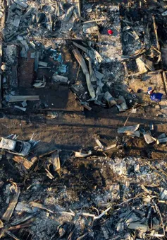 Cháy rừng nghiêm trọng khiến 51 người tử vong, đe dọa các khu đô thị ở Chile
