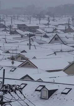 Tokyo gián đoạn giao thông vì tuyết rơi dày