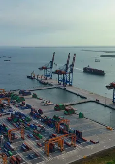 Tăng cường kết nối logistics thúc đẩy tiêu thụ, xuất khẩu nông, lâm, thủy sản