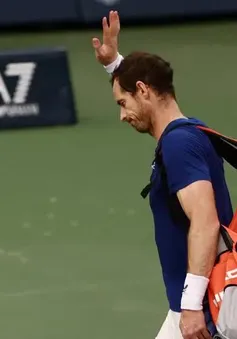 Andy Murray dự kiến giải nghệ vào mùa hè năm 2024