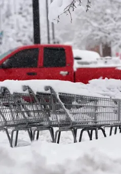 Bão tuyết lớn hoành hành tại bang Colorado khiến hàng nghìn khách hàng mất điện