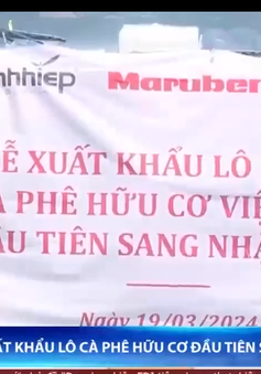 Lô cà phê hữu cơ đầu tiên xuất khẩu sang Nhật Bản