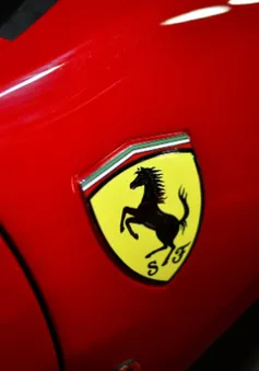 Cổ phiếu Ferrari đã tăng giá gấp 3 lần trong 5 năm qua