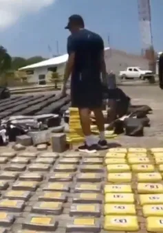 Colombia thu giữ 3 tấn cocaine