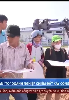 Người dân Quảng Ngãi "tố" doanh nghiệp chiếm đất xây công trình trái phép