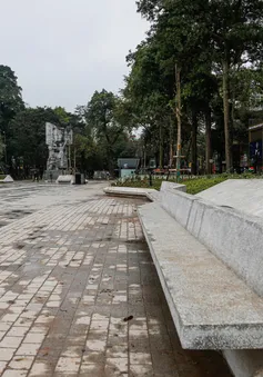 Cần "mạnh dạn" trả lại màu xanh cho các vườn hoa, công viên bị bê tông hóa