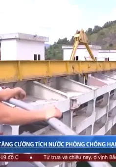 Thủy điện Miền Trung tăng cường tích nước phòng chống hạn mặn cho hạ du