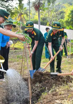 Kiên Giang: Trồng 1000 cây xanh tại Khu di tích Lịch sử - Thắng cảnh Quốc gia Ba Hòn