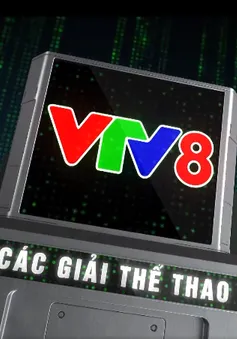 Các Giải thể thao tranh Cup VTV8 trong năm 2024 - Điểm hẹn của những người yêu thể thao toàn quốc